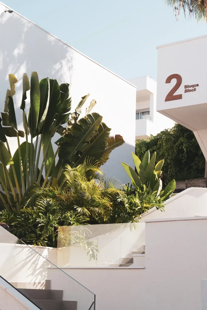 Jardín tropical entre muros blancos y escaleras con barandilla de vidrio junto a un rótulo de bloque