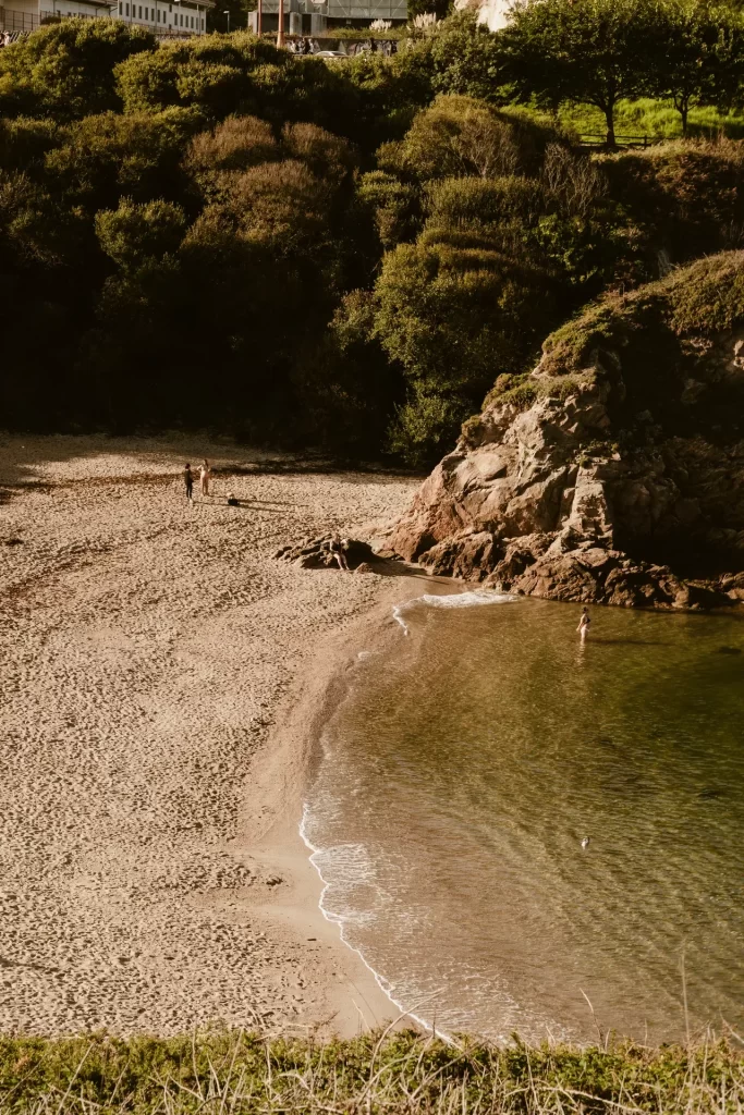 Pequeña cala de arena dorada con agua transparente, una roca y vegetación densa en la ladera